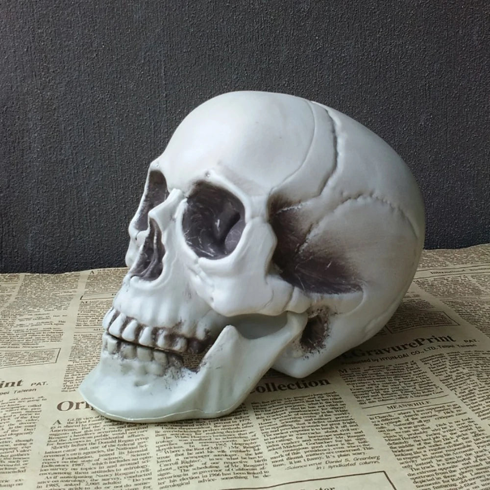 Bonehead™ Realistic Skull Prop
