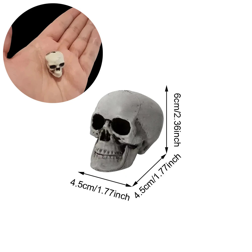 Bonehead™ Realistic Skull Prop