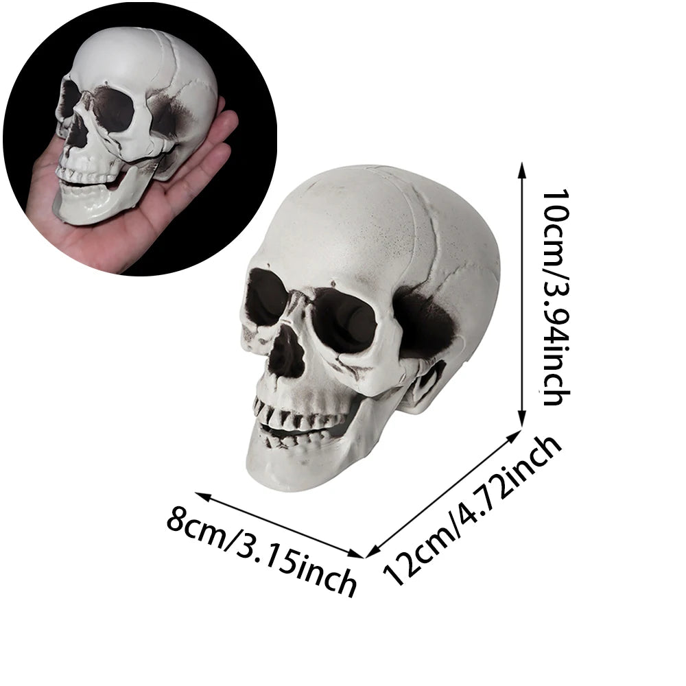 Bonehead™ Realistic Skull Prop