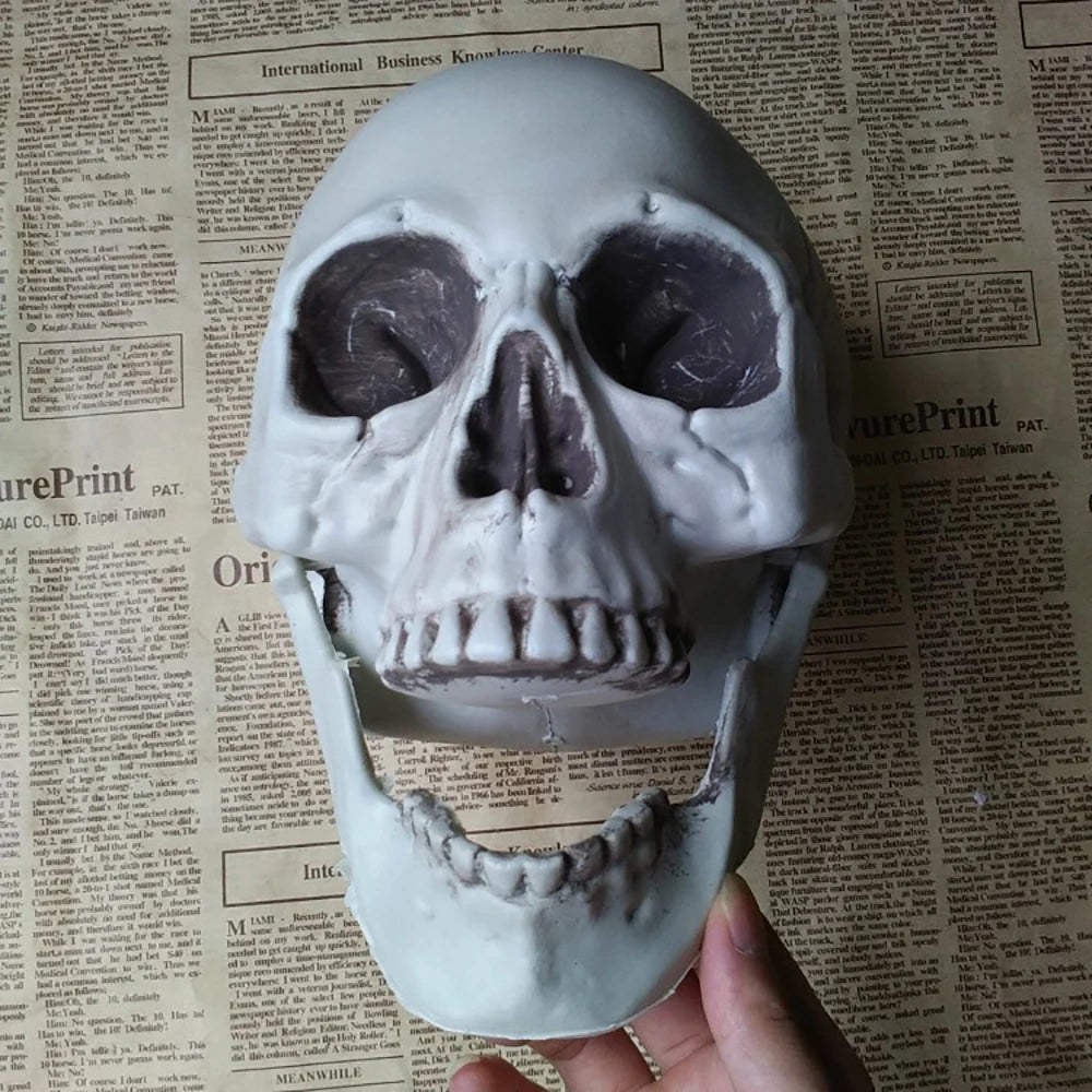 Bonehead™ Realistic Skull Prop