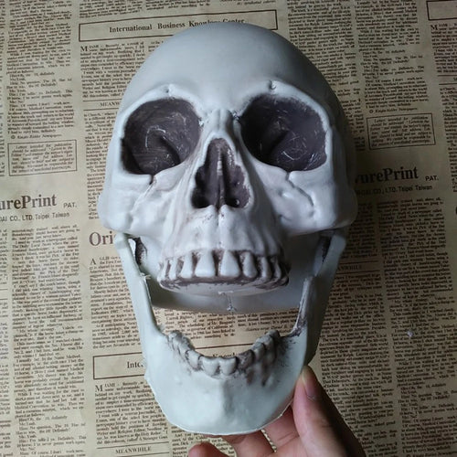 Bonehead™ Realistic Skull Prop